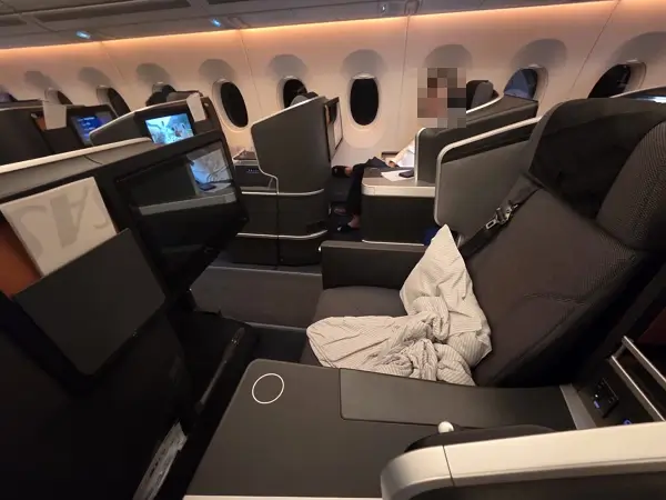 스칸디나비아항공 비즈니스석