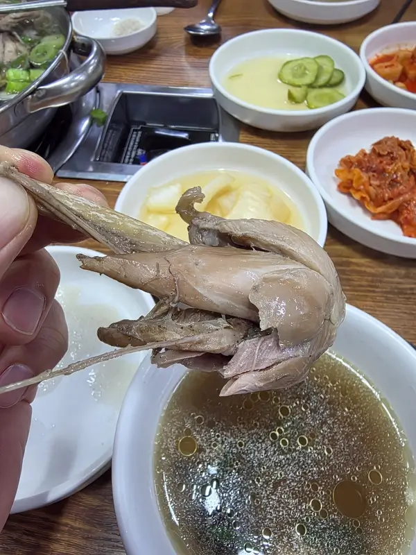 능이버섯백숙